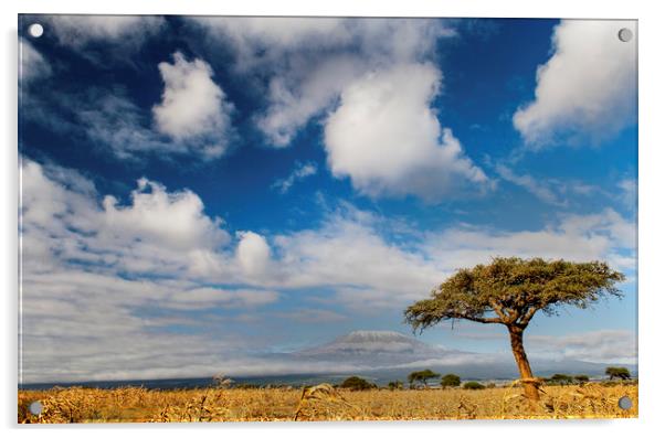 Kilimanjaro Acrylic by Sean Clee