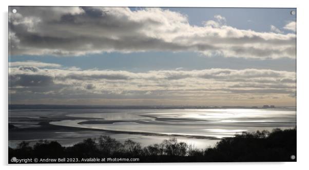 Silver Sands Morecambe Bay Acrylic by Andrew Bell