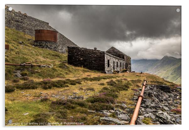 Abandoned buildings, Dinorwig, North Wales Acrylic by Liz Withey