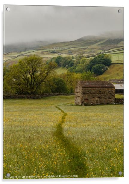 Rainy Meadow Acrylic by Liz Withey