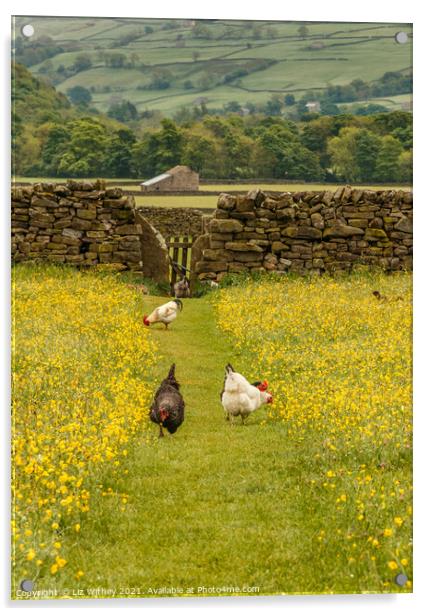 Hens in the Meadow Acrylic by Liz Withey
