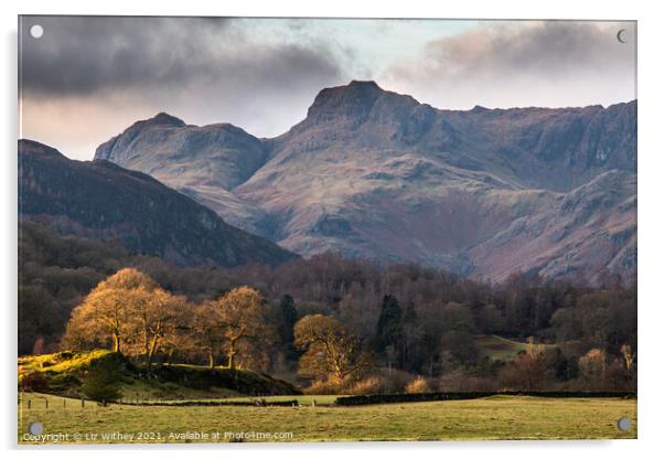 Langdale Acrylic by Liz Withey