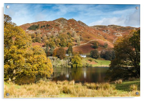Loughrigg Fell and Tarn Acrylic by Liz Withey