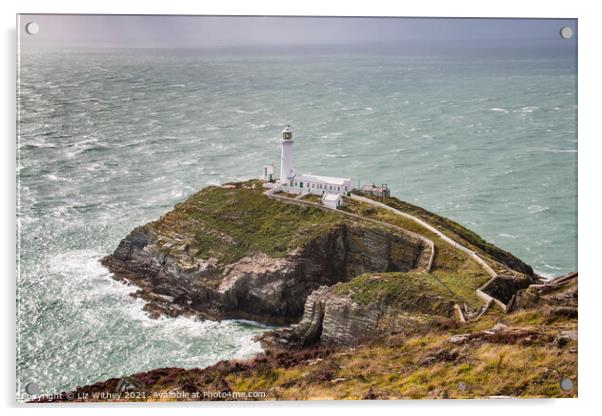 South Stack, Angelsey Acrylic by Liz Withey