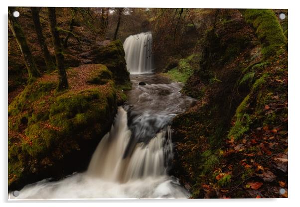 Dalcairney falls Acrylic by Craig Breakey