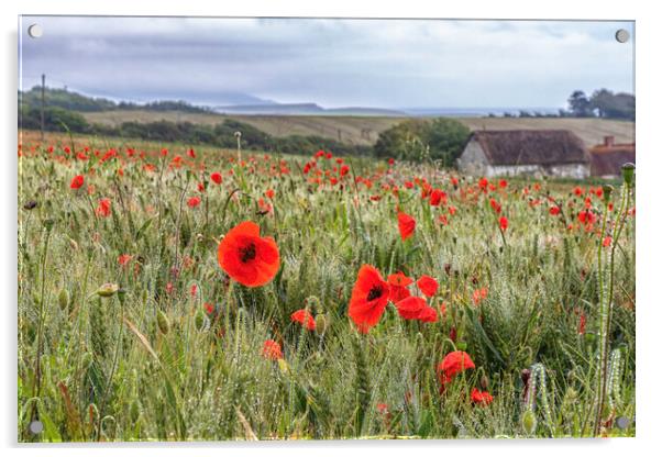 Poppy Field  Acrylic by James Marsden