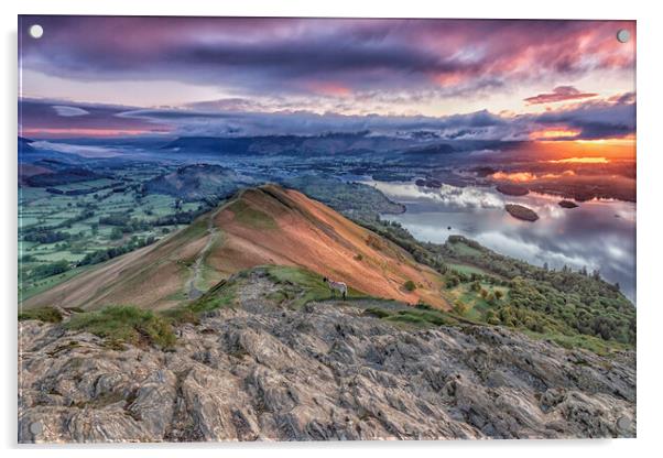 Majestic Sunrise over Catbells Acrylic by James Marsden