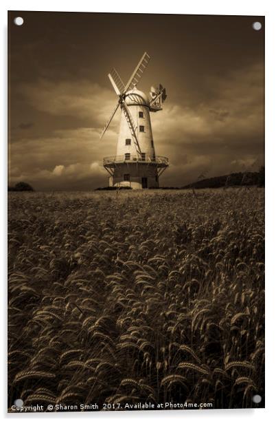 Llancayo Windmill Acrylic by Sharon Smith