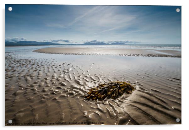Newborough beach Anglesey Acrylic by North Wales Photography