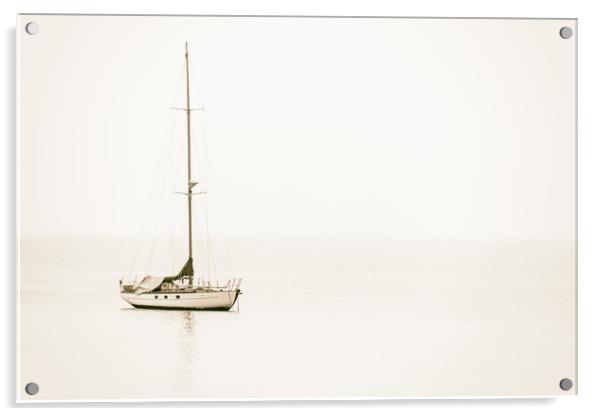 Sailing Boat Acrylic by Ed Alexander