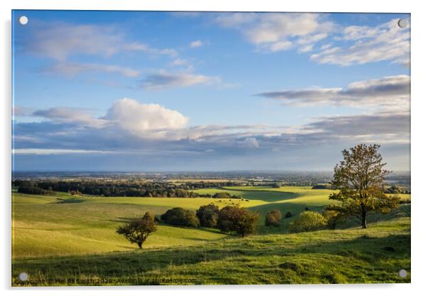 "Sweeping Vistas of Southdowns and Coastal Serenit Acrylic by Mel RJ Smith