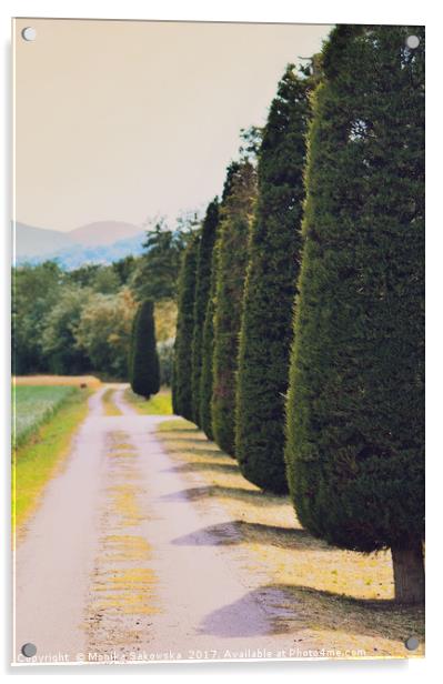  Country Road with Cypress Tree Acrylic by Monika Sakowska