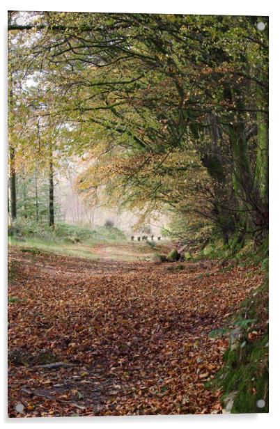 Early Autumn Acrylic by Simon J Beer