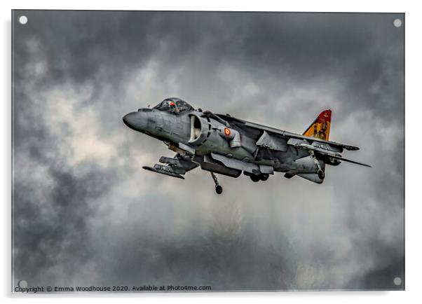 Spanish Harrier Acrylic by Emma Woodhouse