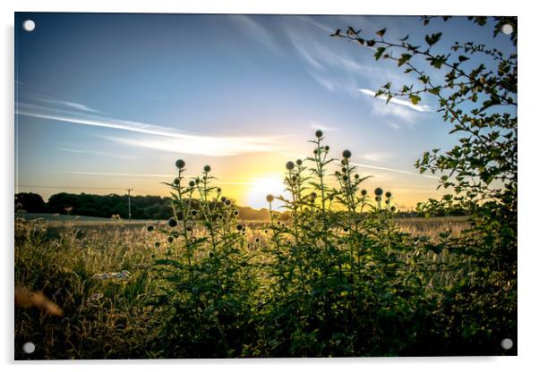 norfolk sunrise  Acrylic by james dorrington