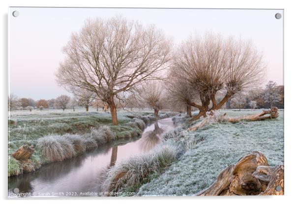 A Frosty Morning at Beverley Brook Acrylic by Sarah Smith