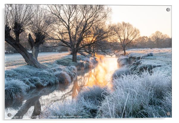 Frosty Sunrise at Beverley Brook Acrylic by Sarah Smith
