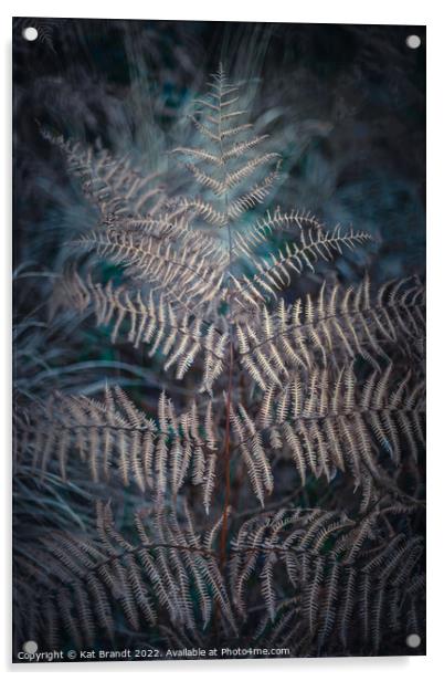 Winter Fern Acrylic by KB Photo