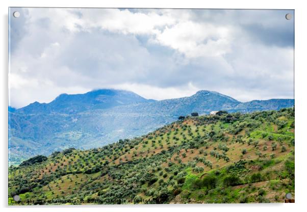 Andalusian landscape with Olive groves on mountain Acrylic by KB Photo