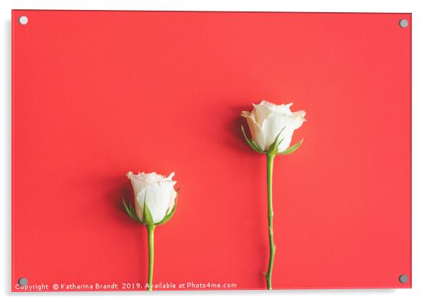 White roses still life Acrylic by KB Photo