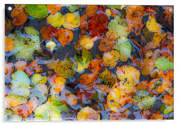 Autumn colours Acrylic by Kevin Hellon
