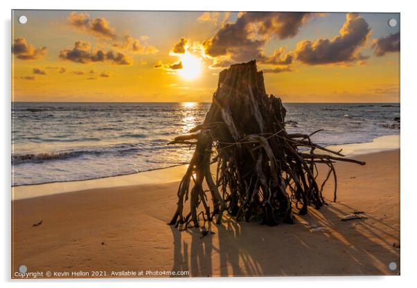 Eroded tree stump on beach at susnset, Acrylic by Kevin Hellon