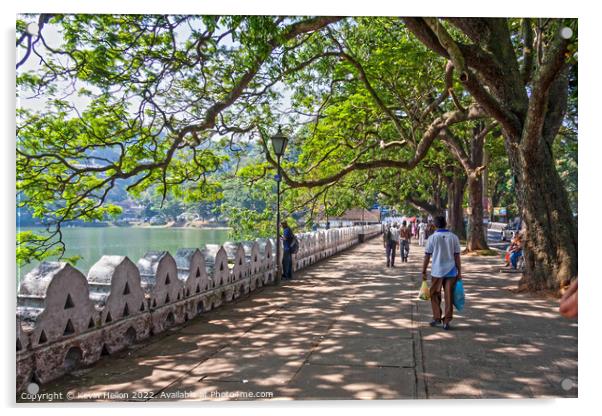 Promenade and lake, Kandy Acrylic by Kevin Hellon