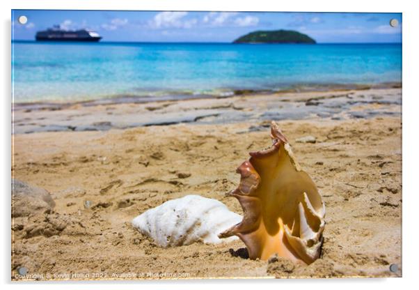 Sea Shells on Dravuni Island, Fiji, South Pacific Acrylic by Kevin Hellon