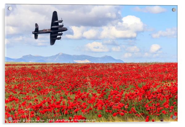 Lancaster bomber passing over a field of poppies Acrylic by Kevin Hellon