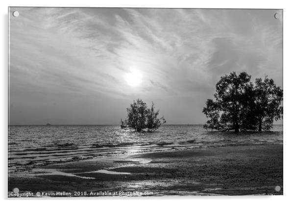 Mangrove sunrise Acrylic by Kevin Hellon