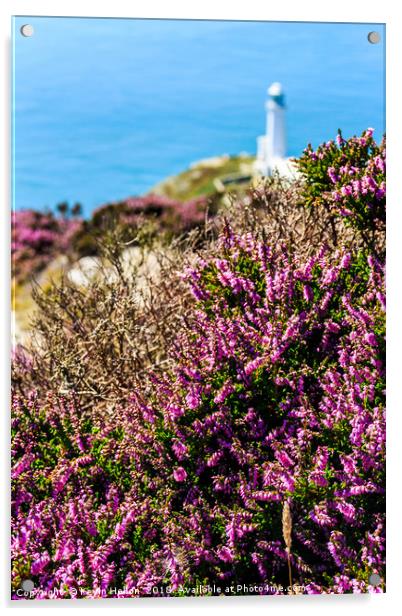 Purple heather with North Stack lighthouse Acrylic by Kevin Hellon