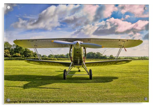 Hawker Demon I K8203 G-BTVE Acrylic by Colin Smedley