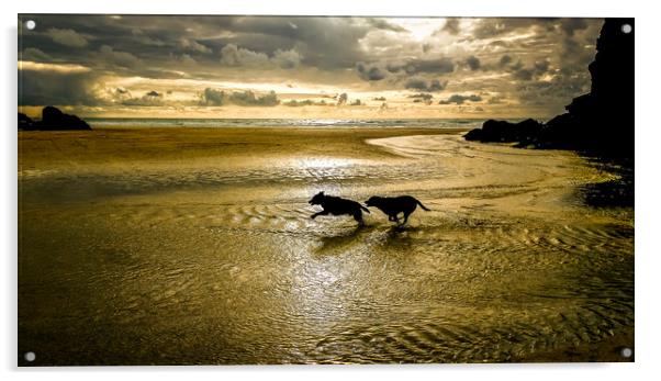 Sunset dog chase Acrylic by Mike Lanning