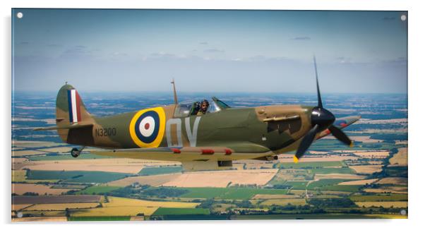 Spitfire MkI in flight Acrylic by Mike Lanning