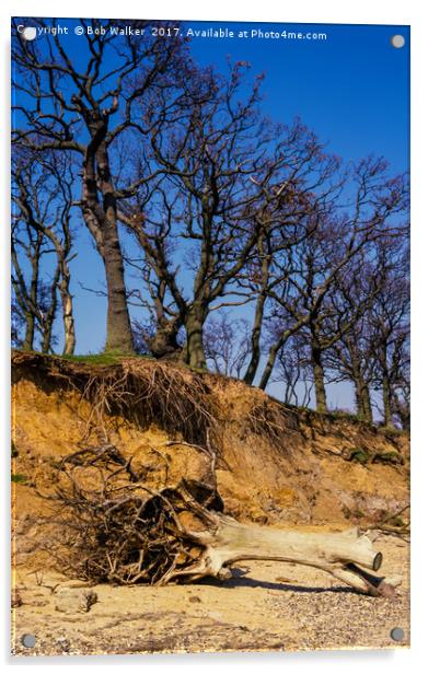 Erosion on Mersey Island, Essex Acrylic by Bob Walker