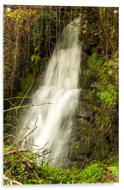 Water Fall at Luxulyan Valley Acrylic by Bob Walker