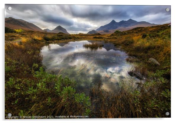 Isle of Skye in Scotland  Acrylic by Steven Dijkshoorn