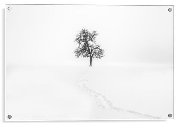 A lonely tree in the snow - Minimalism Landscape Acrylic by Steven Dijkshoorn