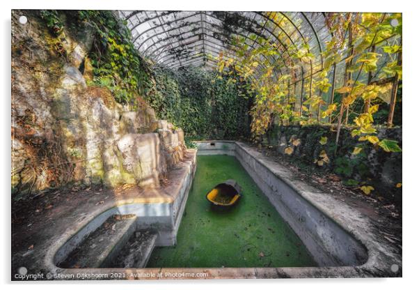 An abandoned swimming pool in Belgium Acrylic by Steven Dijkshoorn