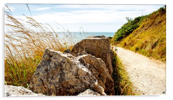 Coastal Path Acrylic by  