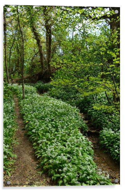 Wild Garlic wood Acrylic by Lee Sulsh