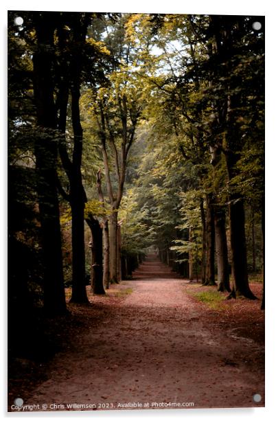 forest lane with trees vertical photo shot Acrylic by Chris Willemsen