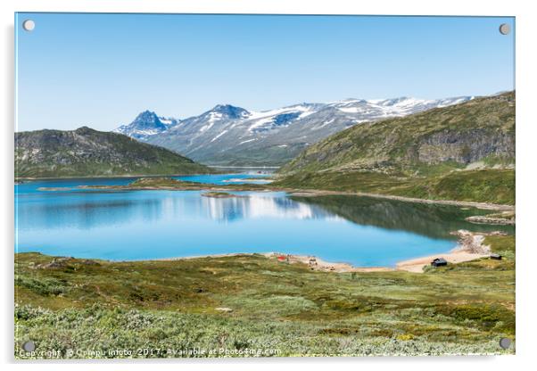 lake in national park in norway Acrylic by Chris Willemsen