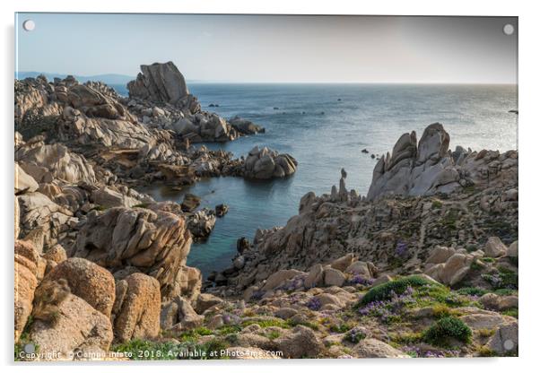 capo testa teresa di gallura , with rocks and blue Acrylic by Chris Willemsen