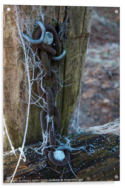 chain in the forest Acrylic by Chris Willemsen