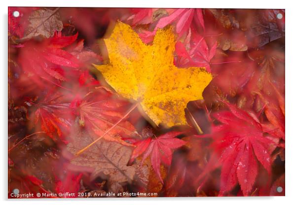Autumn Colours Acrylic by Martin Griffett