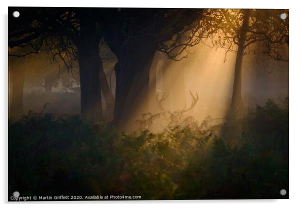 Sunrise in Richmond Park Acrylic by Martin Griffett