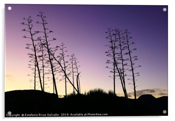 Dusk in the desert Acrylic by Estefanía Rivas Salvador