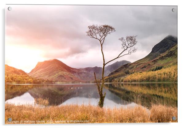 Beautiful Autumn Fall landscape image of Lake Buttermere in Lake District England  Acrylic by Matthew Gibson