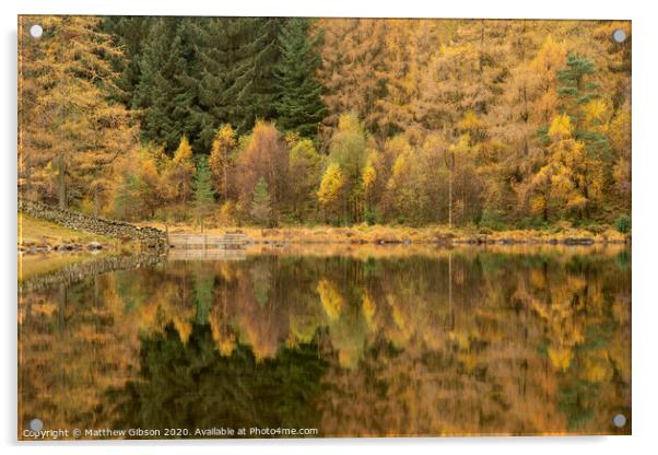 Beautiful colorful vibrant Autumn Fall landscape image of Blea Tarn with golden colors reflected in lake Acrylic by Matthew Gibson